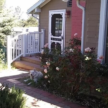 Blue Bird Cottage - Pet Friendly Julian Bagian luar foto