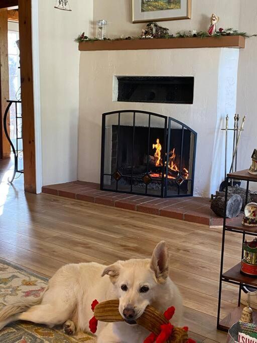 Blue Bird Cottage - Pet Friendly Julian Bagian luar foto
