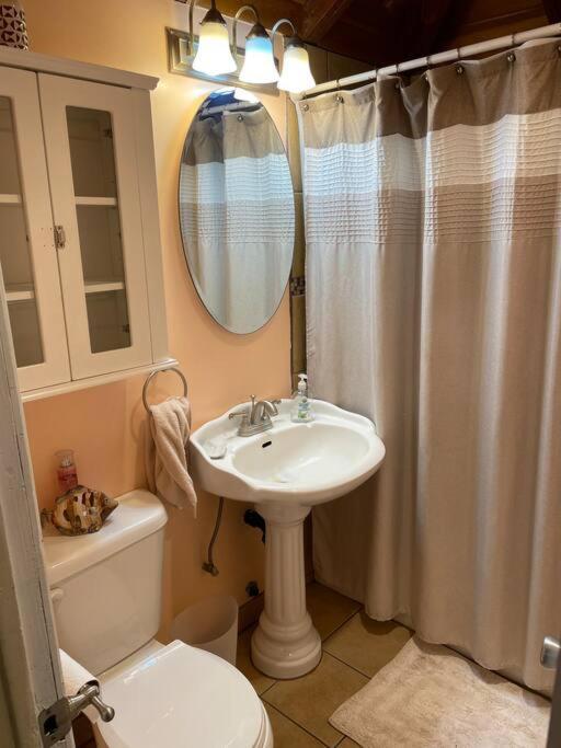Blue Bird Cottage - Pet Friendly Julian Bagian luar foto