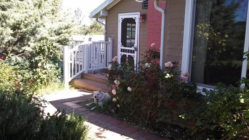 Blue Bird Cottage - Pet Friendly Julian Bagian luar foto